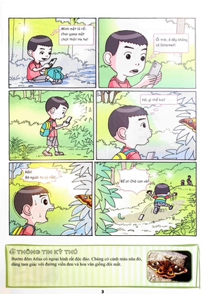bộ the young scientist - truyện tranh khoa học cho trẻ em - level 1 - tập 3: loài bướm đêm atlas