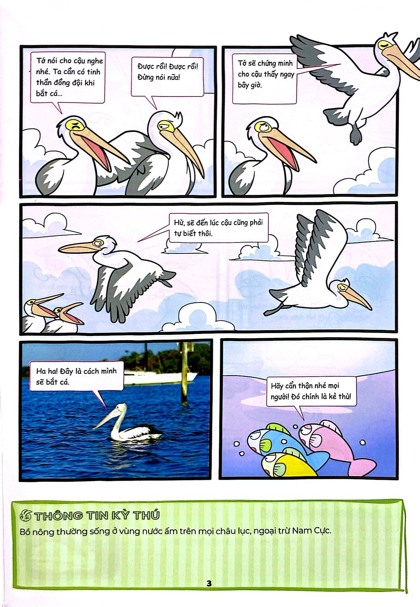 Bo
						
										
										The Young Scientist - Truyen Tranh Khoa Hoc Cho Tre Em - Level 1 - Tap 8 - Bap Ngo Moc Rau That Sao?