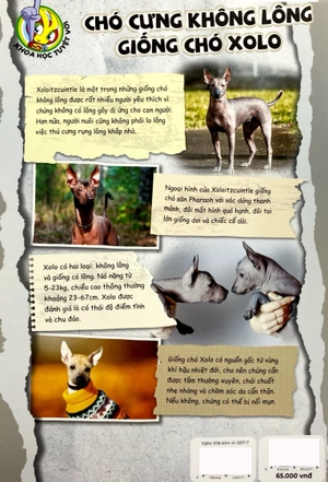 bộ the young scientist - truyện tranh khoa học cho trẻ em - level 2 - tập 7: dòng sông đã đổi hướng