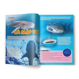 bộ the young scientist - truyện tranh khoa học cho trẻ em - level 3 - tập 2: cá hồng y phun lửa