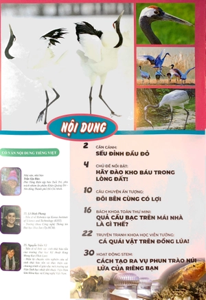 bộ the young scientist - truyện tranh khoa học cho trẻ em - level 3 - tập 3: cá quái vật trên đồng lúa