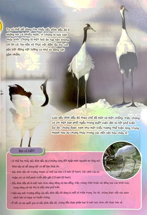 bộ the young scientist - truyện tranh khoa học cho trẻ em - level 3 - tập 3: cá quái vật trên đồng lúa