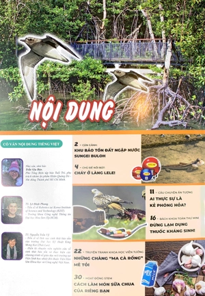 bộ the young scientist - truyện tranh khoa học cho trẻ em - level 3 - tập 4: cháy ở làng lele