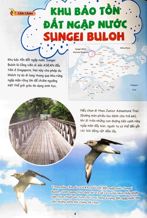 bộ the young scientist - truyện tranh khoa học cho trẻ em - level 3 - tập 4: cháy ở làng lele