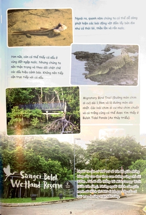 bộ the young scientist - truyện tranh khoa học cho trẻ em - level 3 - tập 4: cháy ở làng lele