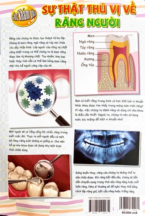 bộ the young scientist - truyện tranh khoa học cho trẻ em - level 3 - tập 4: cháy ở làng lele
