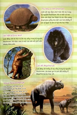 bộ the young scientist - truyện tranh khoa học cho trẻ em - level 3 - tập 5: chạy đi bọn cua đỏ đang xâm chiếm