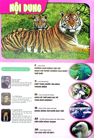 bộ the young scientist - truyện tranh khoa học cho trẻ em - level 3 - tập 6: kền kền hùng mạnh