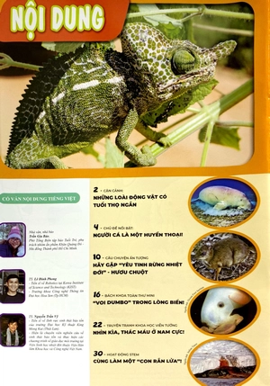 bộ the young scientist - truyện tranh khoa học cho trẻ em - level 3 - tập 7: "voi dumbo" trong lòng biển