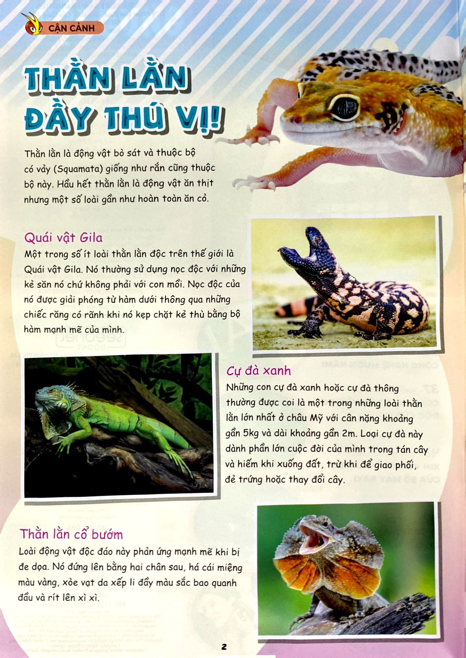 Bo
						
										
										The Young Scientist - Truyen Tranh Khoa Hoc Cho Tre Em - Level 3 - Tap 8 - Gau Truc Nghich Ngom