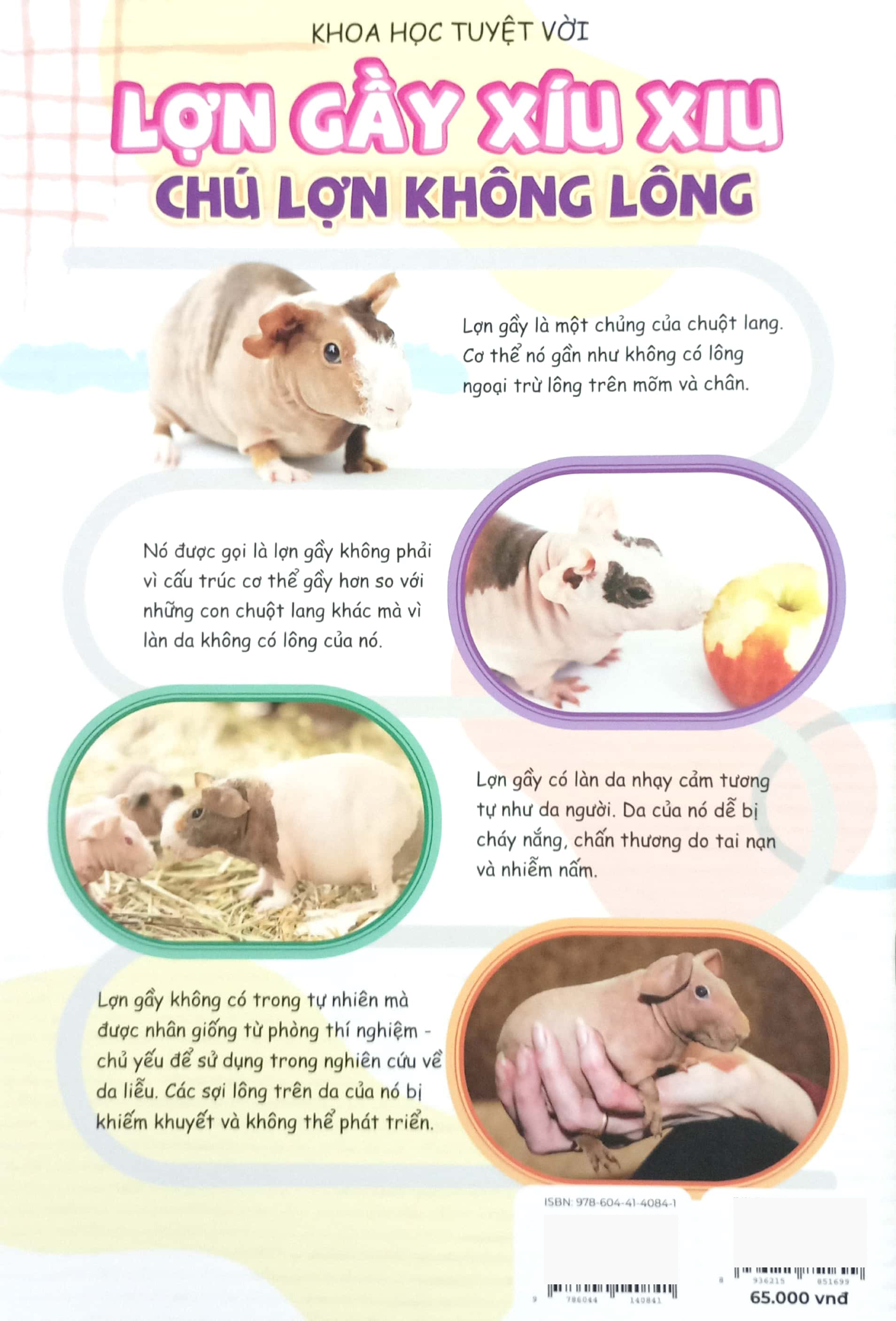 Bo
						
										
										The Young Scientists - Truyen Tranh Khoa Hoc Cho Tre Em - Level 2 - Tap 10 - Tang Da Cung Biet “Lon Len”!