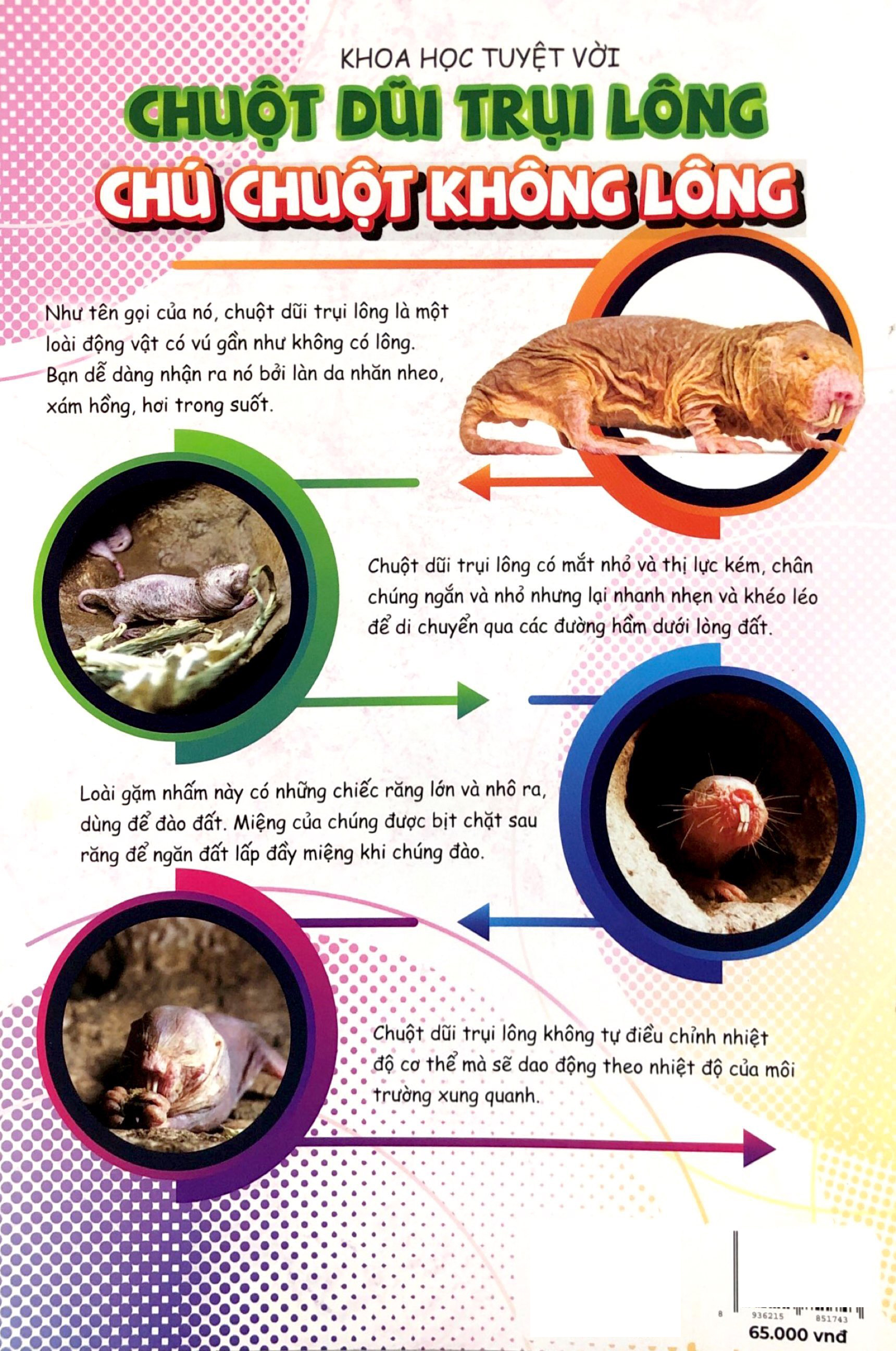 Bo
						
										
										The Young Scientists - Truyen Tranh Khoa Hoc Cho Tre Em - Level 2 - Tap 11 - The Gioi Thu Nho Trong “Qua Bong”!
