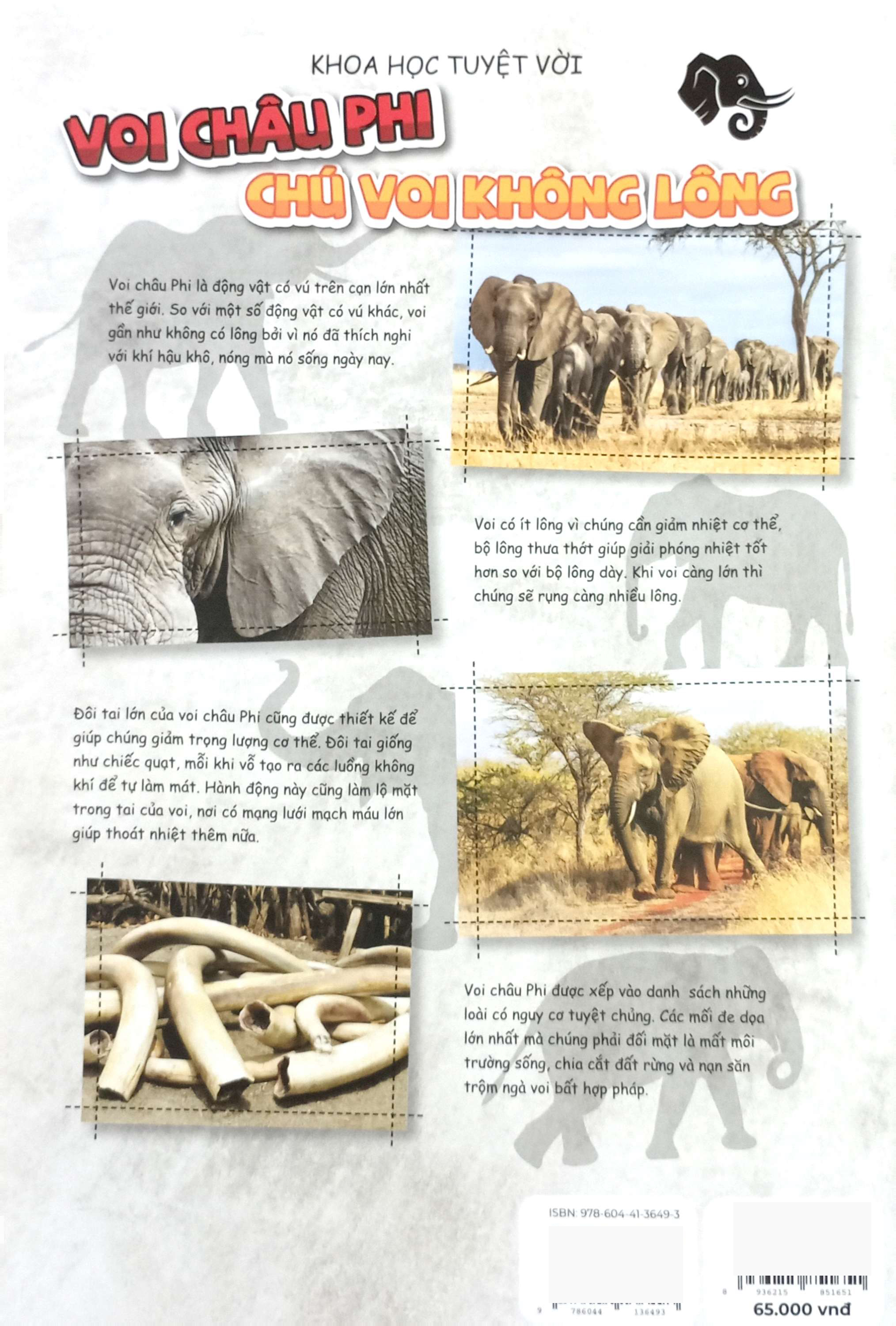 Bo
						
										
										The Young Scientists - Truyen Tranh Khoa Hoc Cho Tre Em - Level 2 - Tap 9 - Muoi Trong Bien