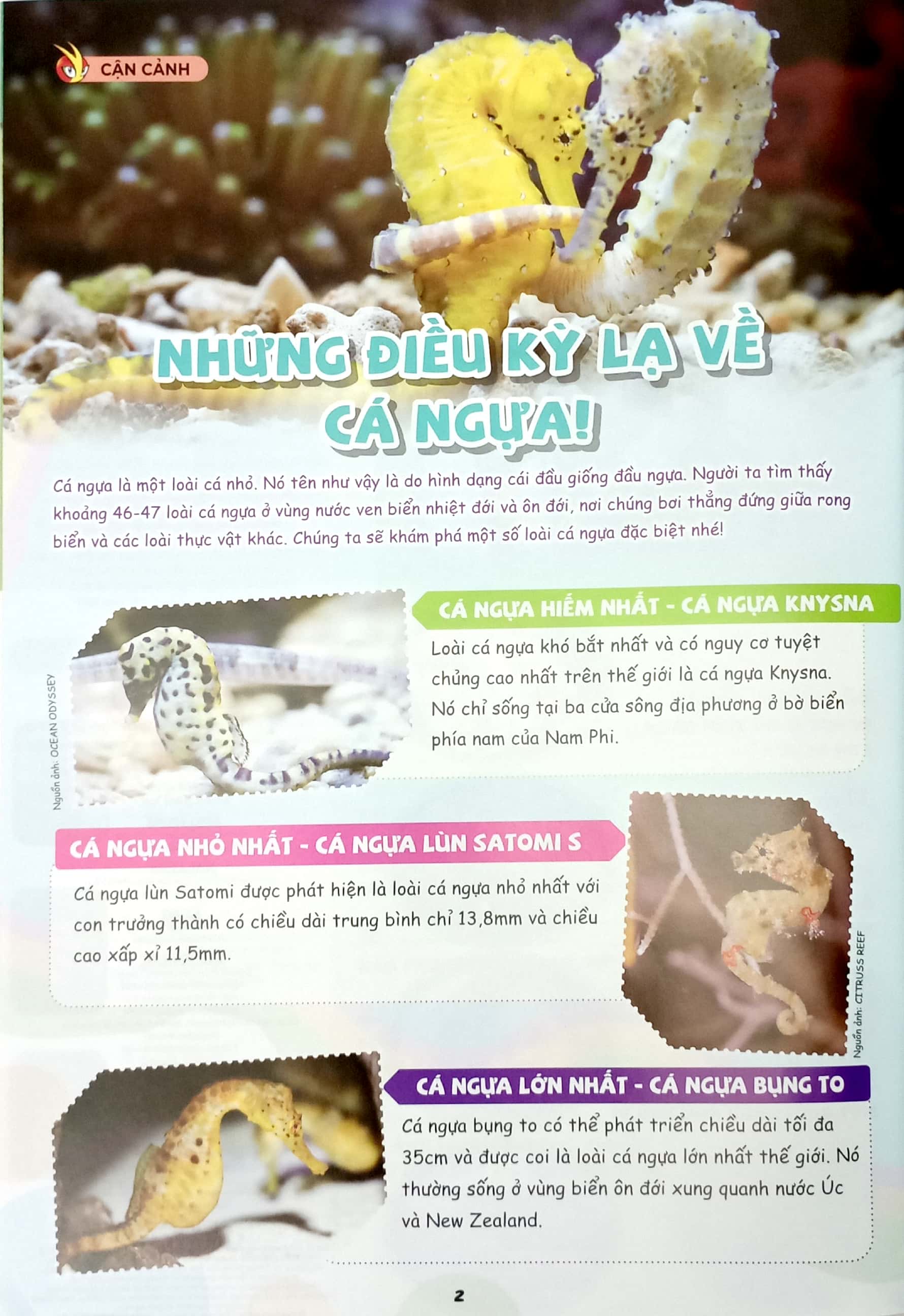 Bo
						
										
										The Young Scientists - Truyen Tranh Khoa Hoc Cho Tre Em - Level 3 - Tap 11 - Loai Ca La Voi Mat Tren Dinh Dau!