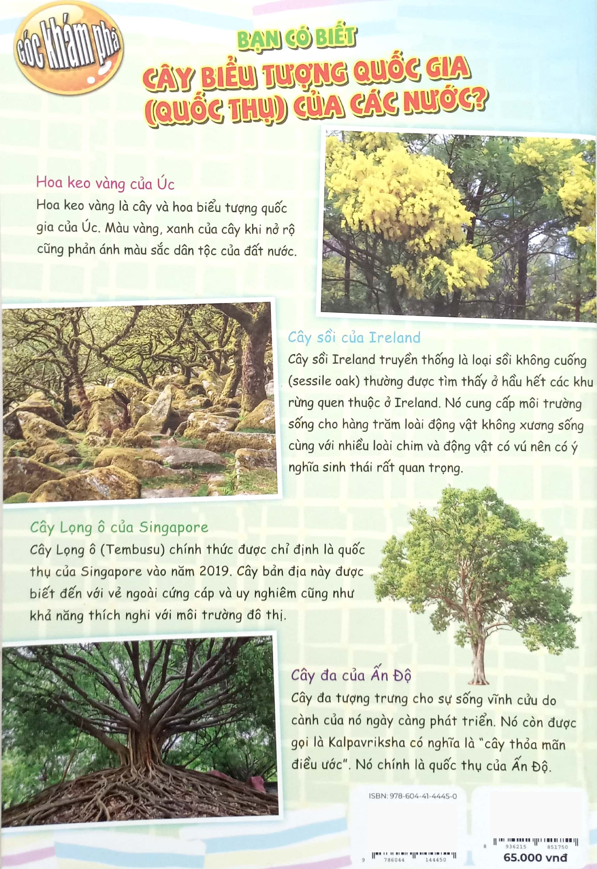 Bo
						
										
										The Young Scientists - Truyen Tranh Khoa Hoc Cho Tre Em - Level 3 - Tap 11 - Loai Ca La Voi Mat Tren Dinh Dau!