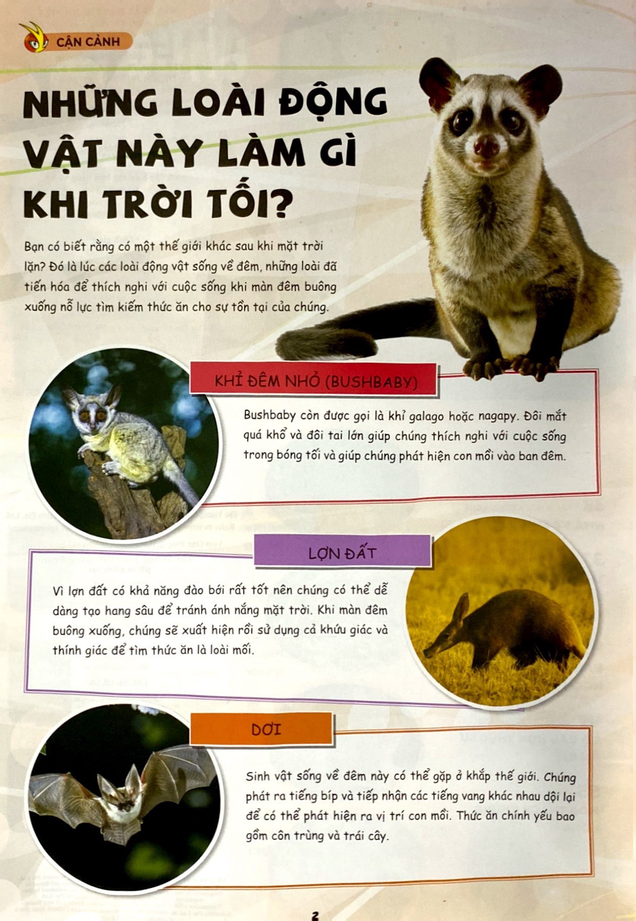 Bo
						
										
										The Young Scientists - Truyen Tranh Khoa Hoc Cho Tre Em - Level 3 - Tap 12 - Con Ca Map Xau Xi