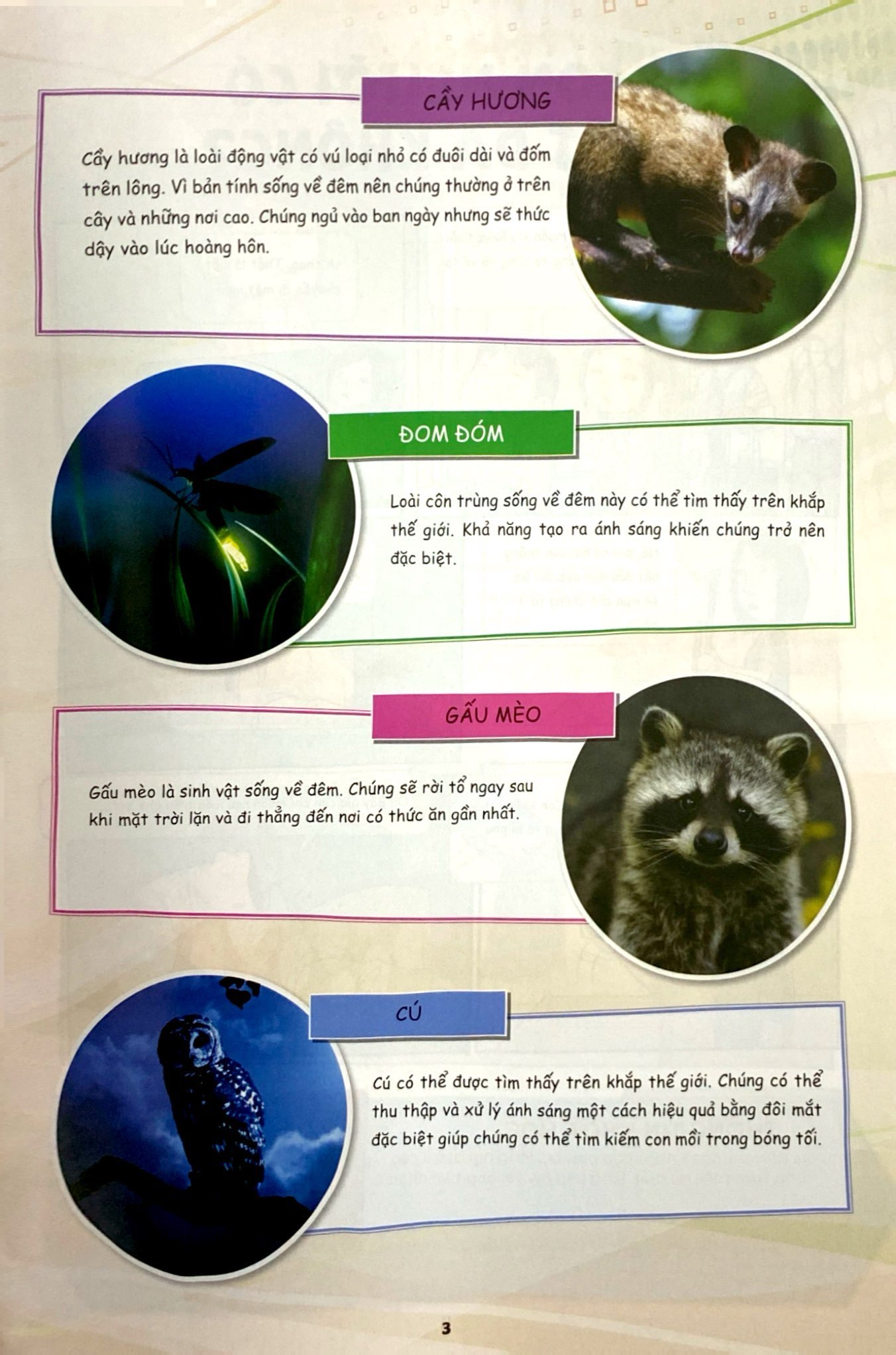 Bo
						
										
										The Young Scientists - Truyen Tranh Khoa Hoc Cho Tre Em - Level 3 - Tap 12 - Con Ca Map Xau Xi
