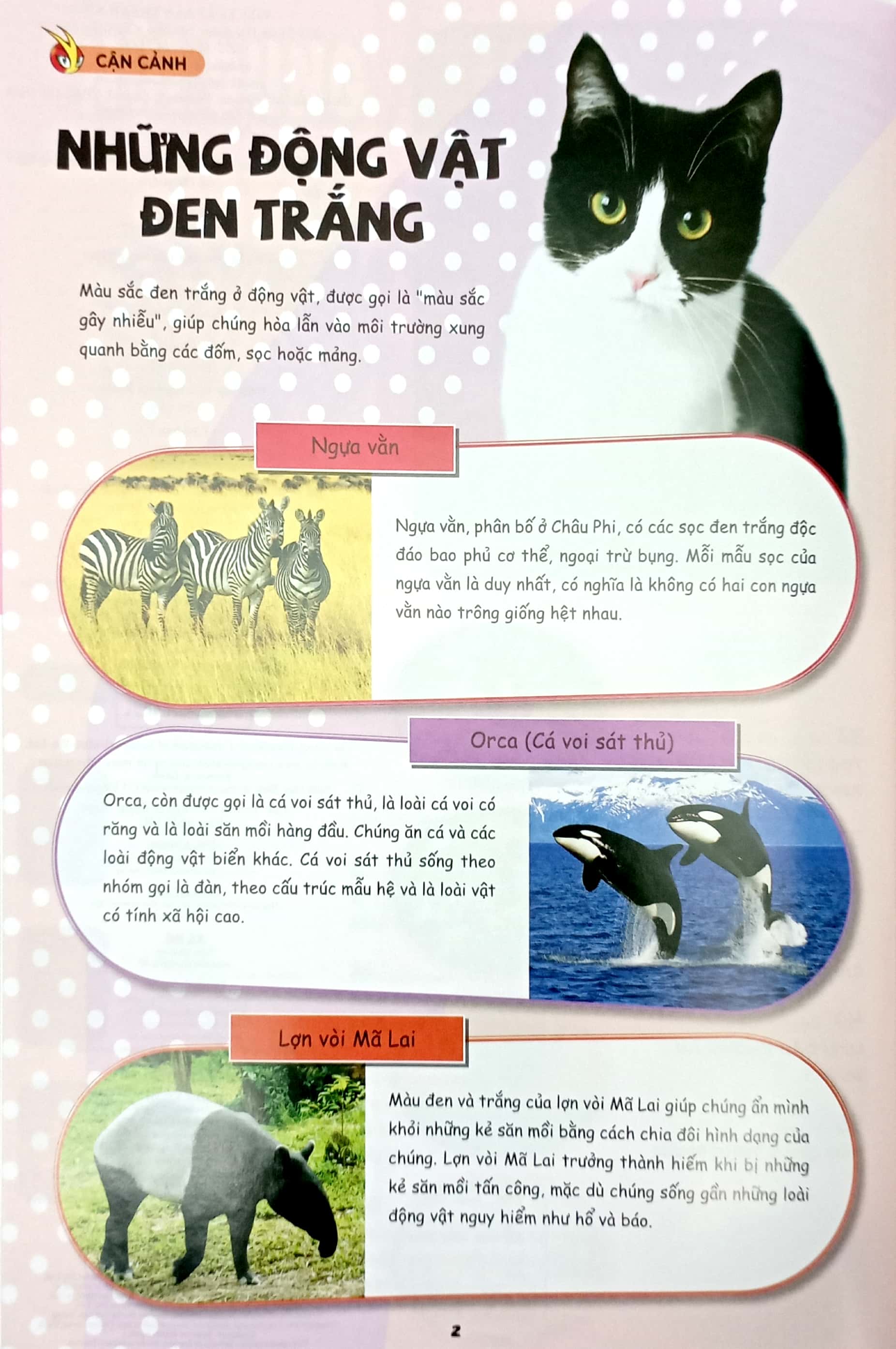 Bo
						
										
										The Young Scientists - Truyen Tranh Khoa Hoc Cho Tre Em - Level 3 - Tap 13 - Vu Mua Boi Thu Trong Thoi Tiet Nong