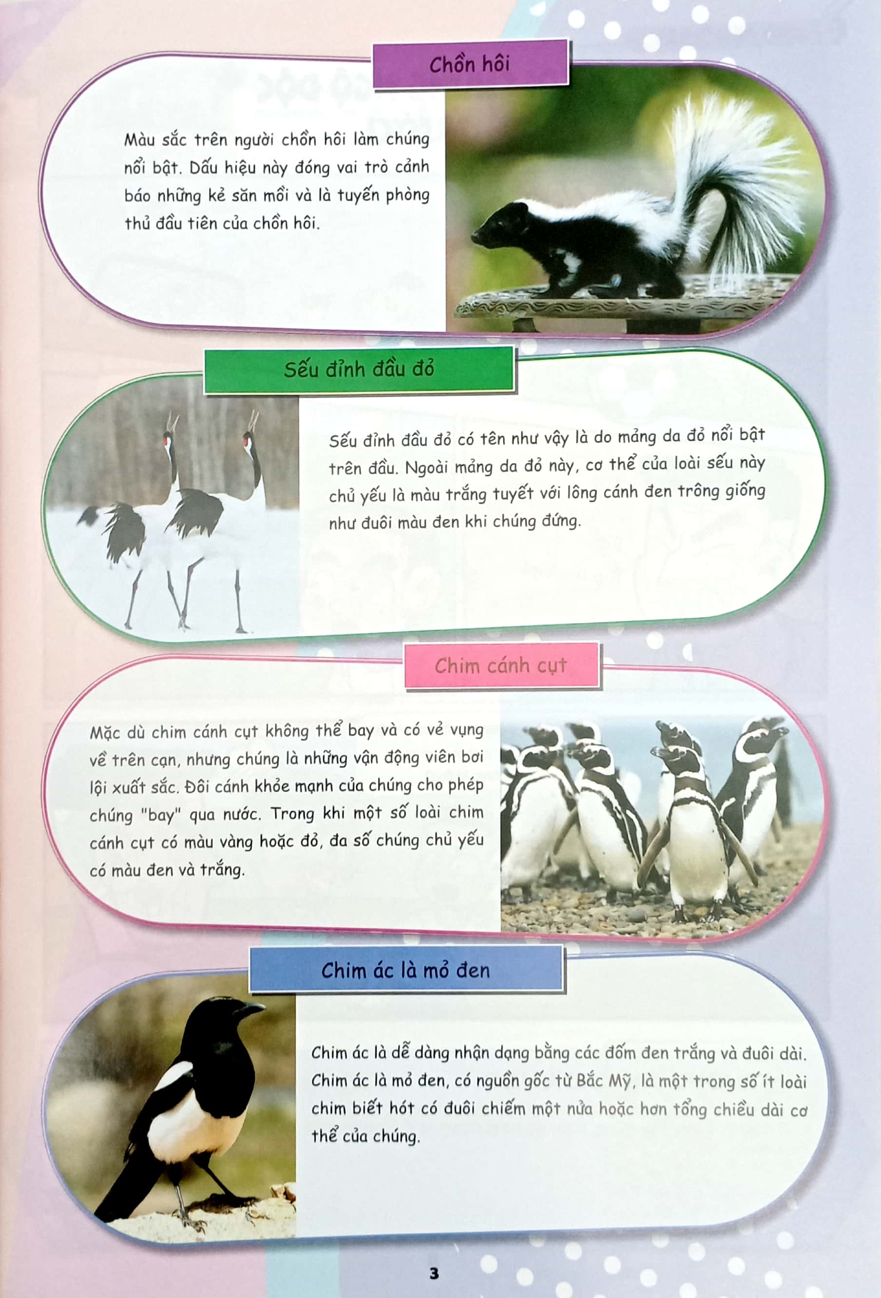 Bo
						
										
										The Young Scientists - Truyen Tranh Khoa Hoc Cho Tre Em - Level 3 - Tap 13 - Vu Mua Boi Thu Trong Thoi Tiet Nong