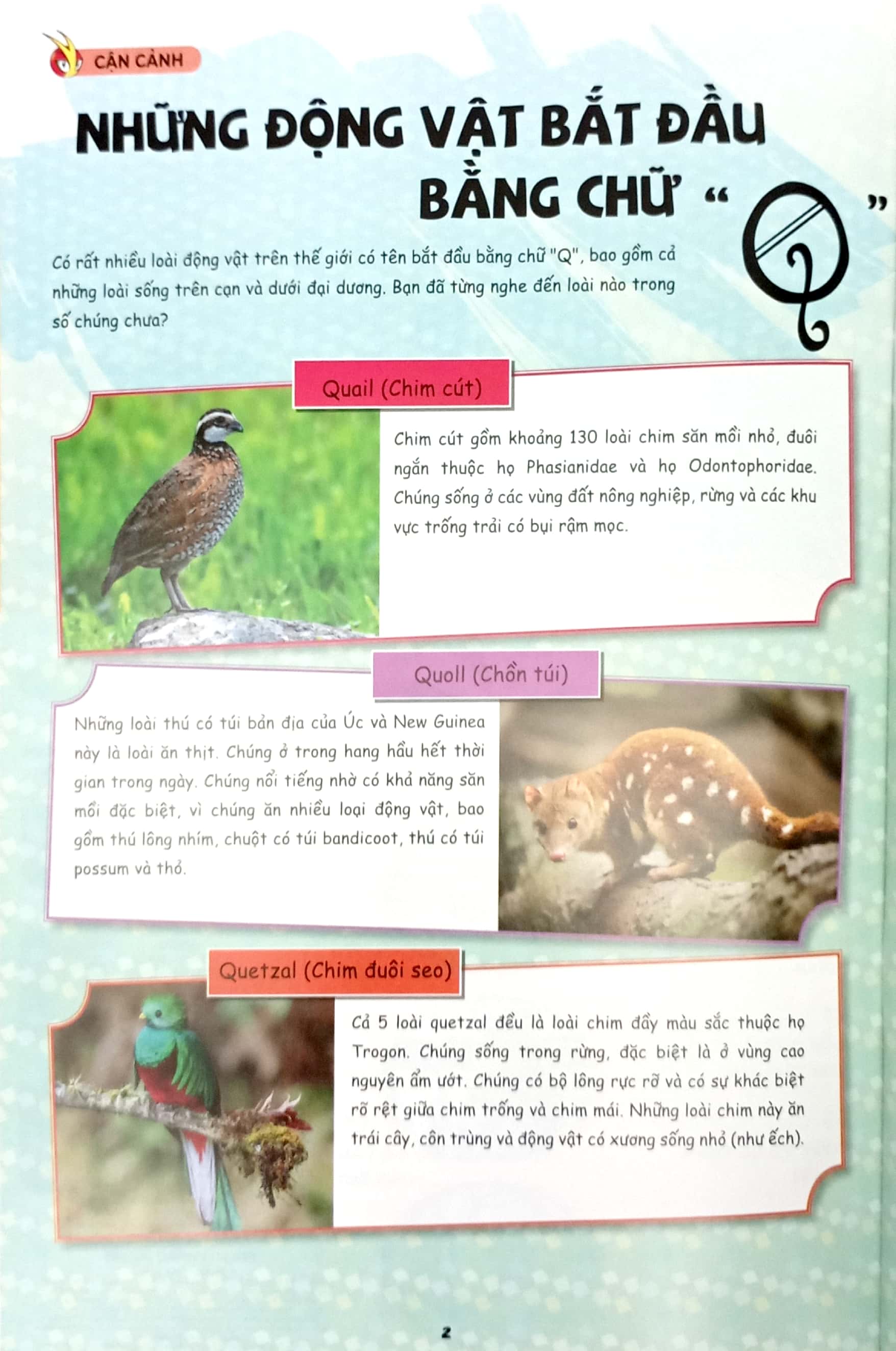 Bo
						
										
										The Young Scientists - Truyen Tranh Khoa Hoc Cho Tre Em - Level 3 - Tap 14 - Nguoi Co Sieu Vi Giac