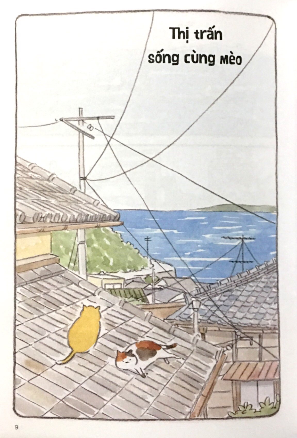 Bo
						
										
										Thi Tran Meo - Tap 2