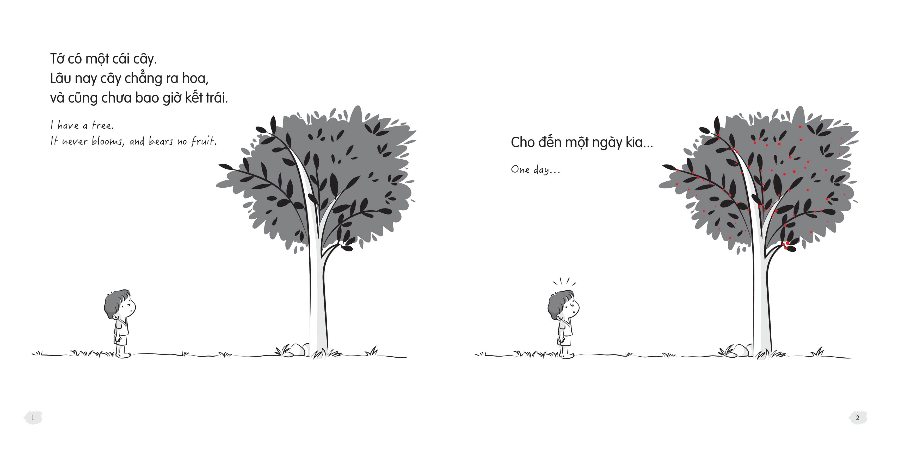 Bo
						
										
										To Co Gi Nhi? - What I Have? - Tap 2 - To Co Mot Cai Cay - I Have A Tree