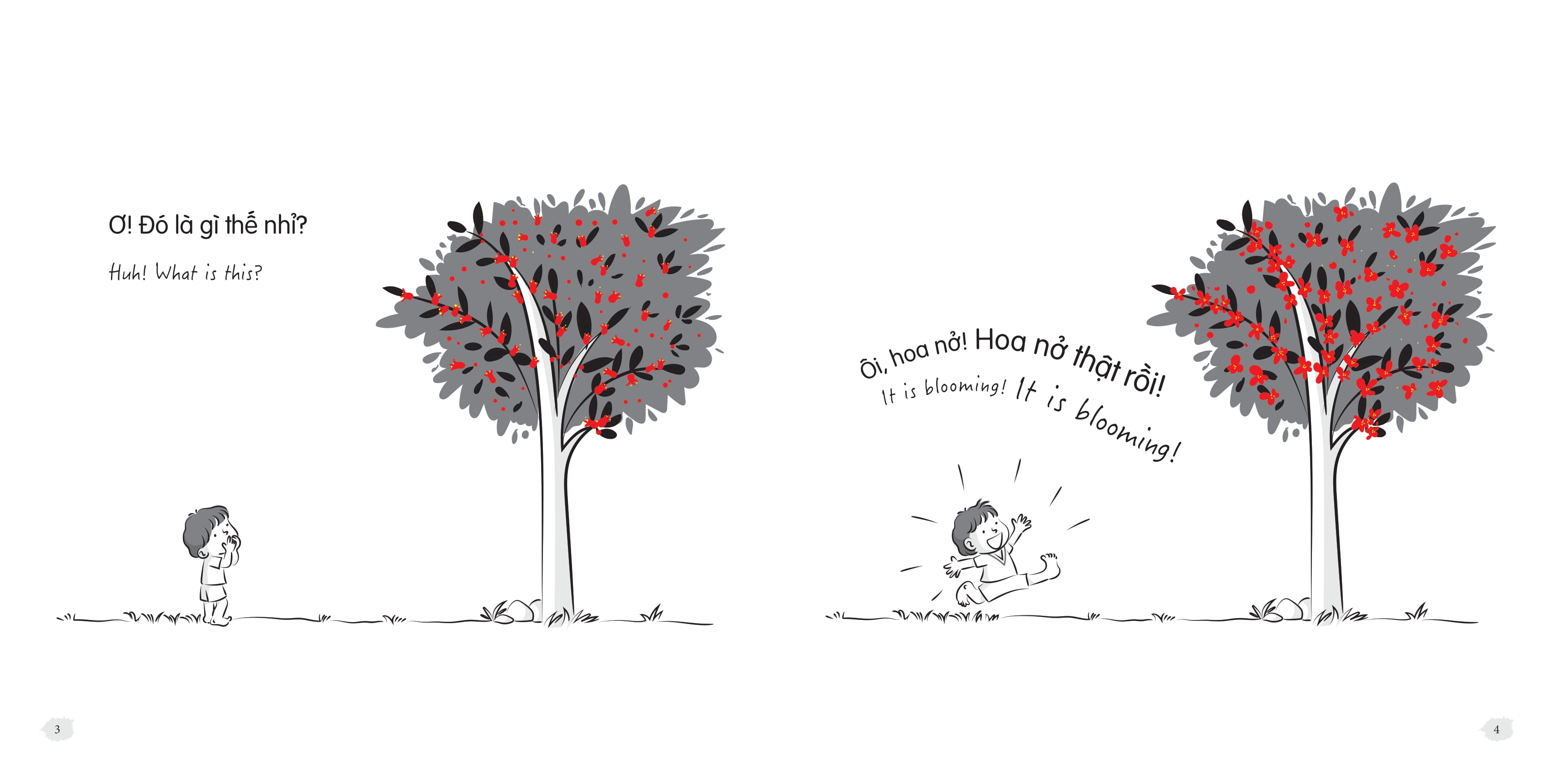 Bo
						
										
										To Co Gi Nhi? - What I Have? - Tap 2 - To Co Mot Cai Cay - I Have A Tree