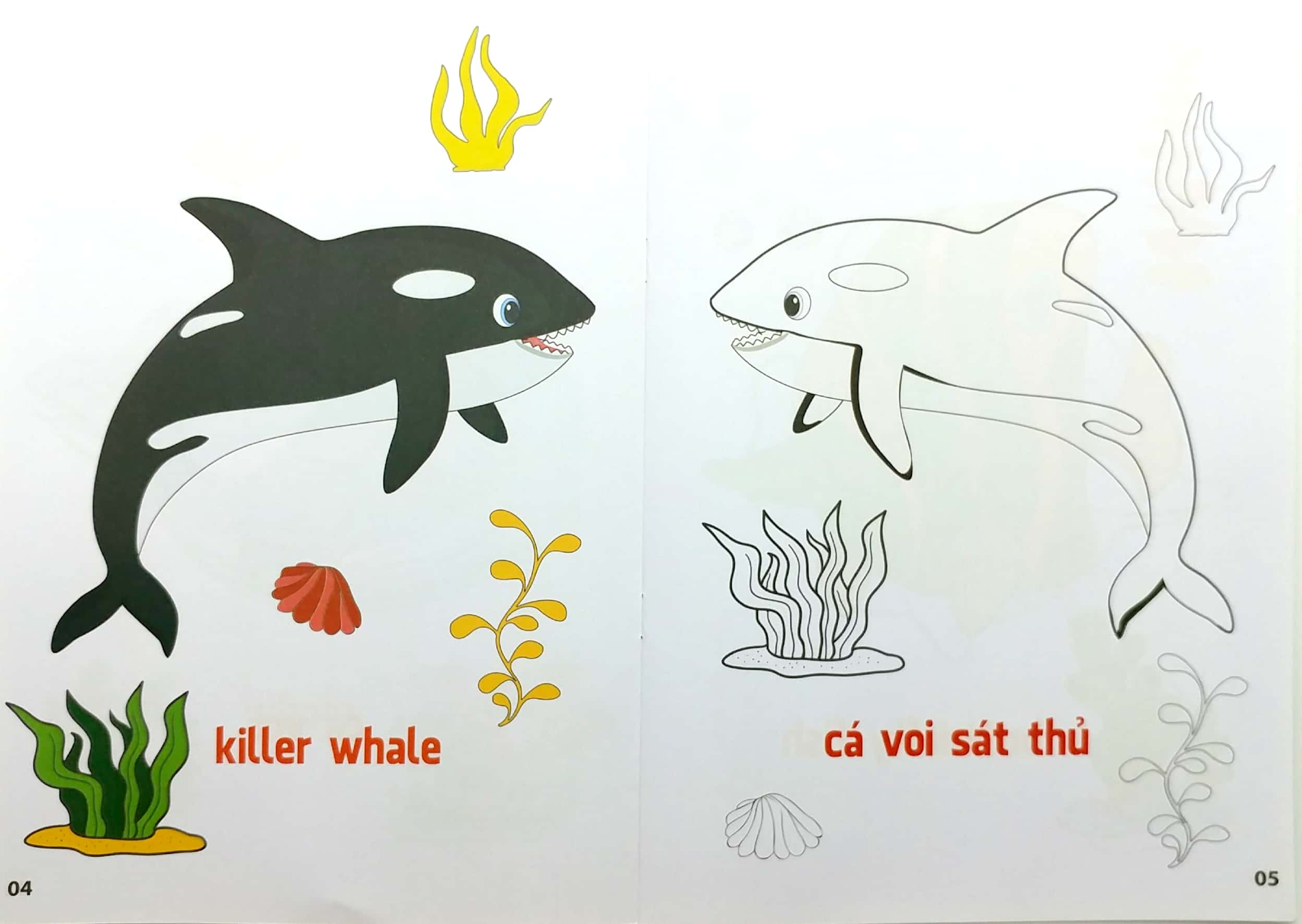 bộ tô màu động vật sống dưới nước - song ngữ anh-việt - tập 1 (tái bản 2023)