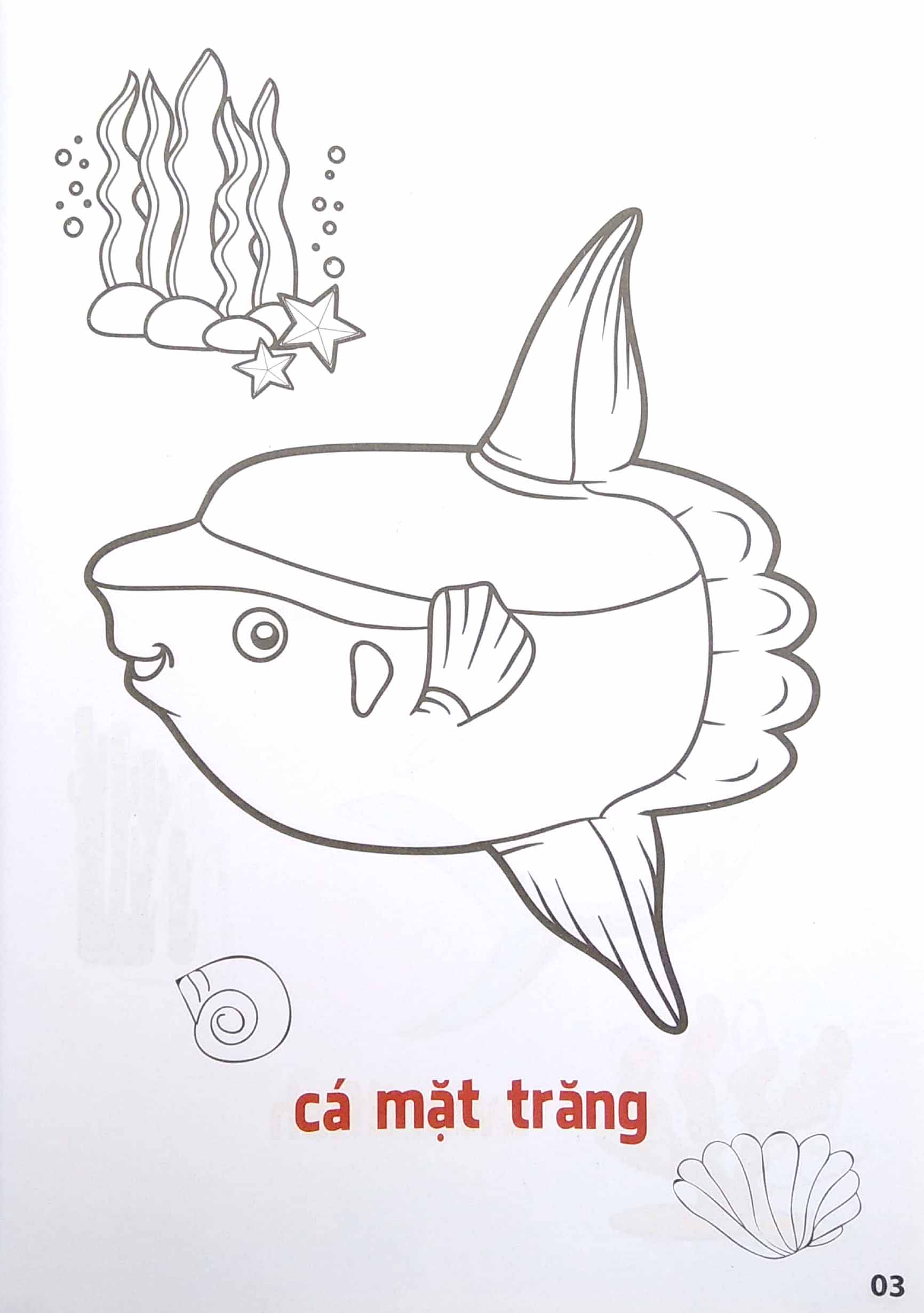 bộ tô màu động vật sống dưới nước - song ngữ anh-việt - tập 2 (tái bản 2023)