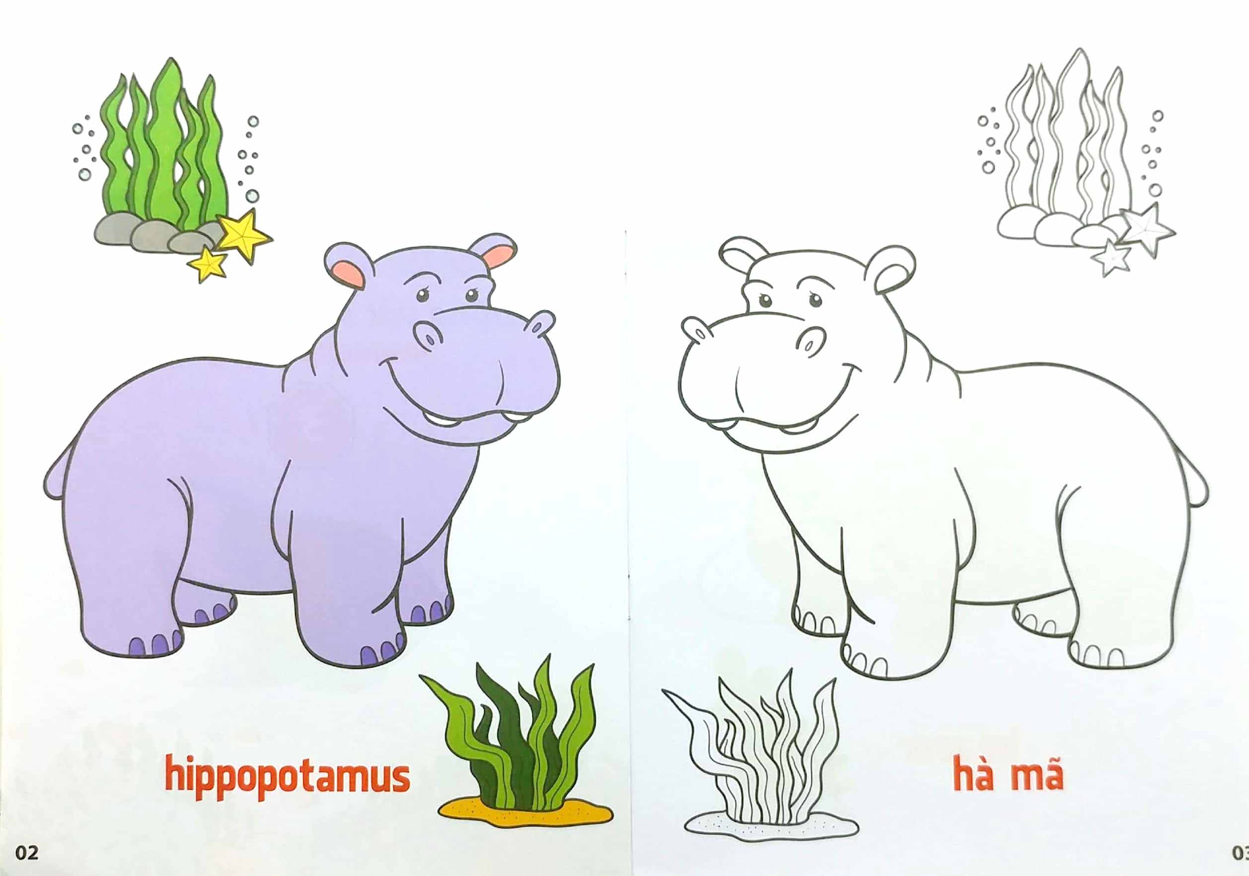 bộ tô màu động vật sống dưới nước - song ngữ anh-việt - tập 3 (tái bản 2023)