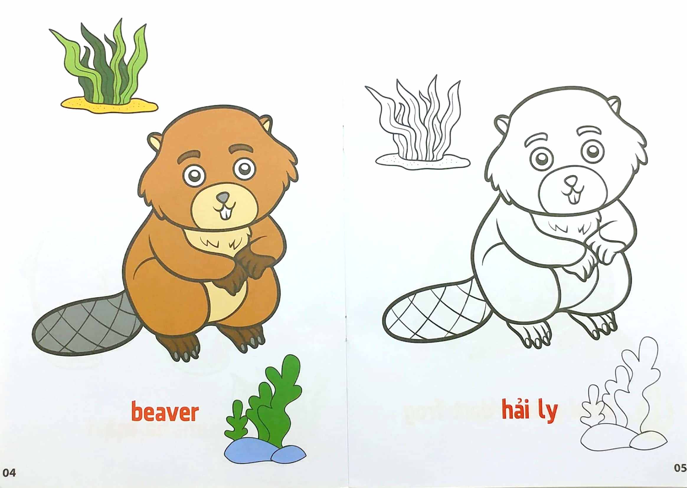 bộ tô màu động vật sống dưới nước - song ngữ anh-việt - tập 3 (tái bản 2023)