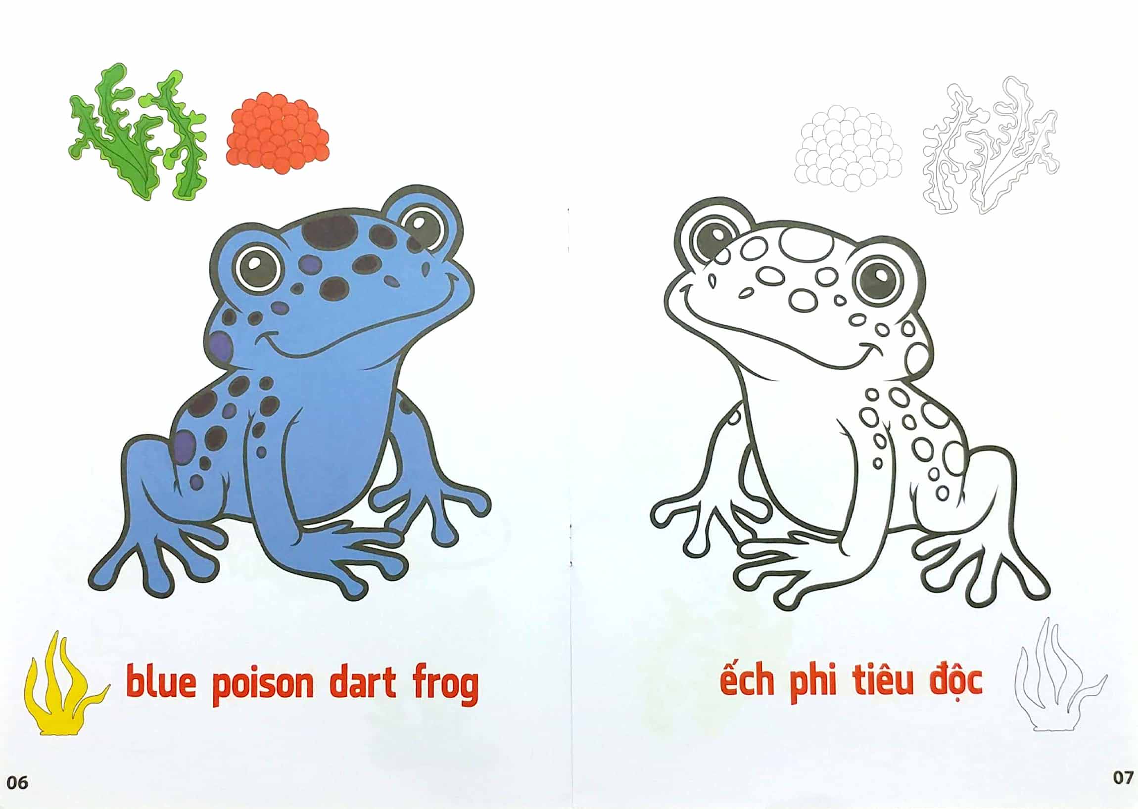 bộ tô màu động vật sống dưới nước - song ngữ anh-việt - tập 3 (tái bản 2023)