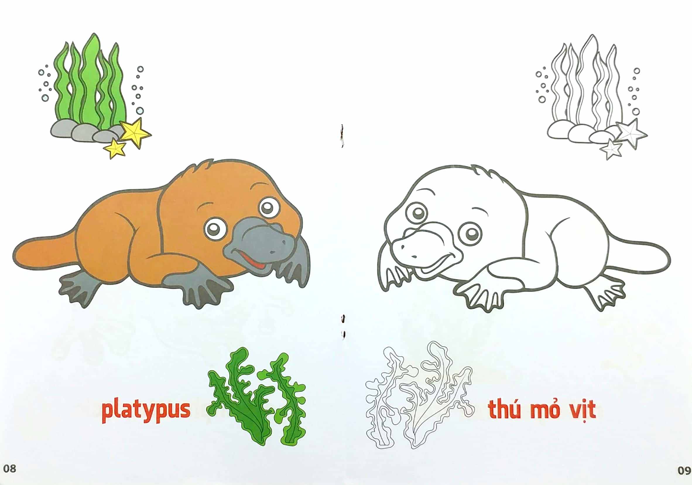 bộ tô màu động vật sống dưới nước - song ngữ anh-việt - tập 3 (tái bản 2023)