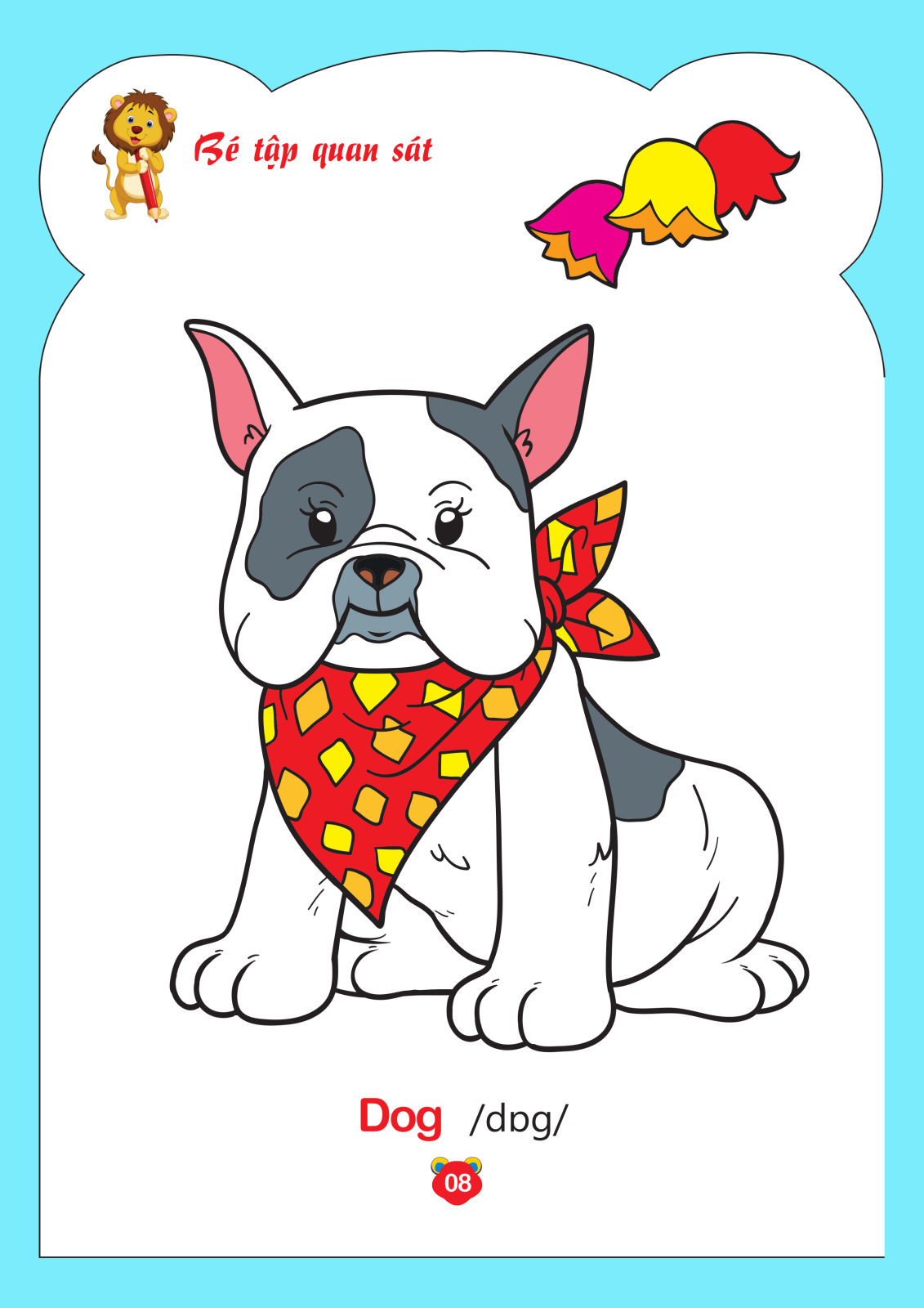 bộ tô màu động vật - tập 4 (song ngữ anh - việt)