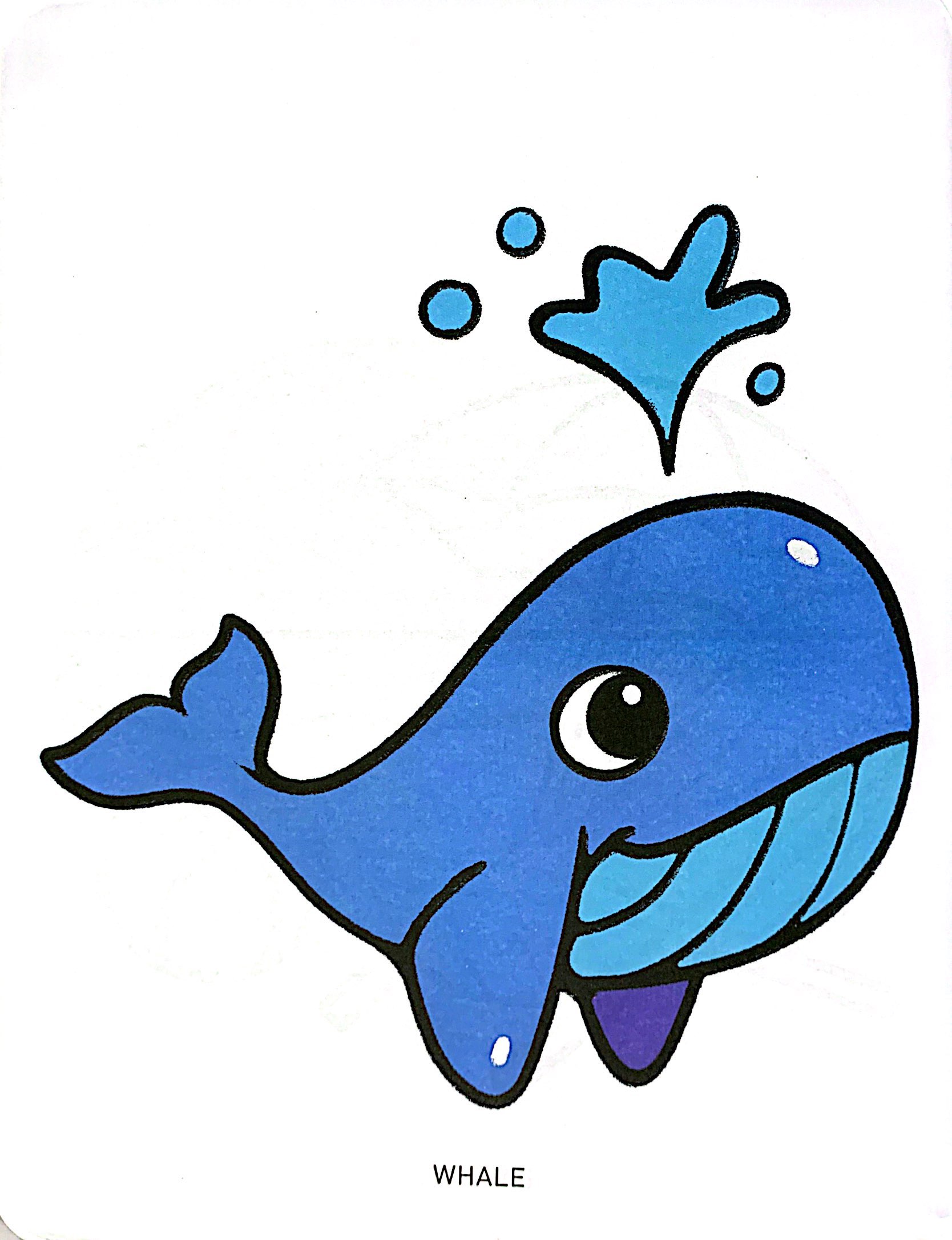 bộ tô màu phát triển não bộ cho bé 1-5 tuổi - tập 7