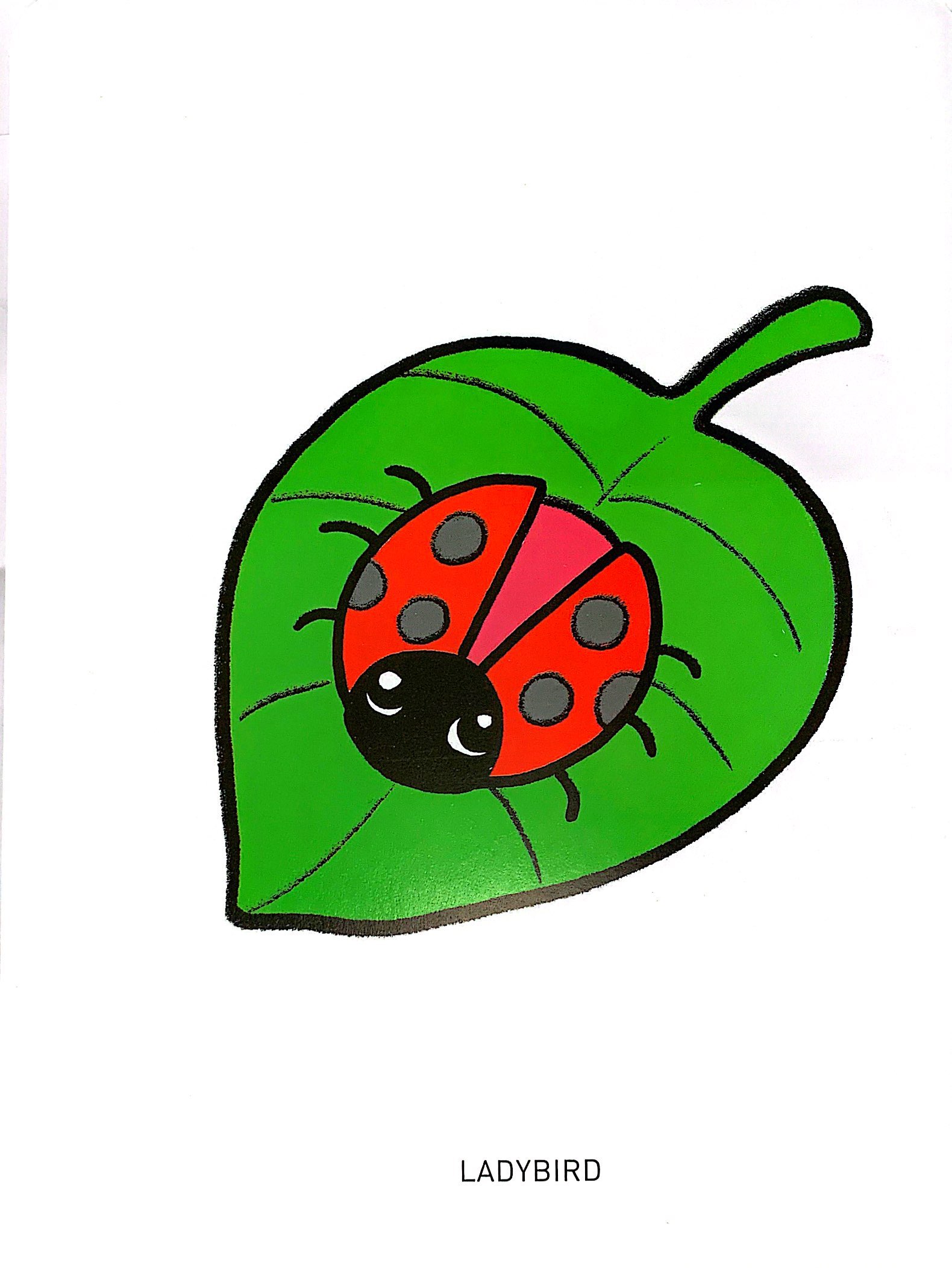 bộ tô màu phát triển não bộ cho bé 1-5 tuổi - tập 9