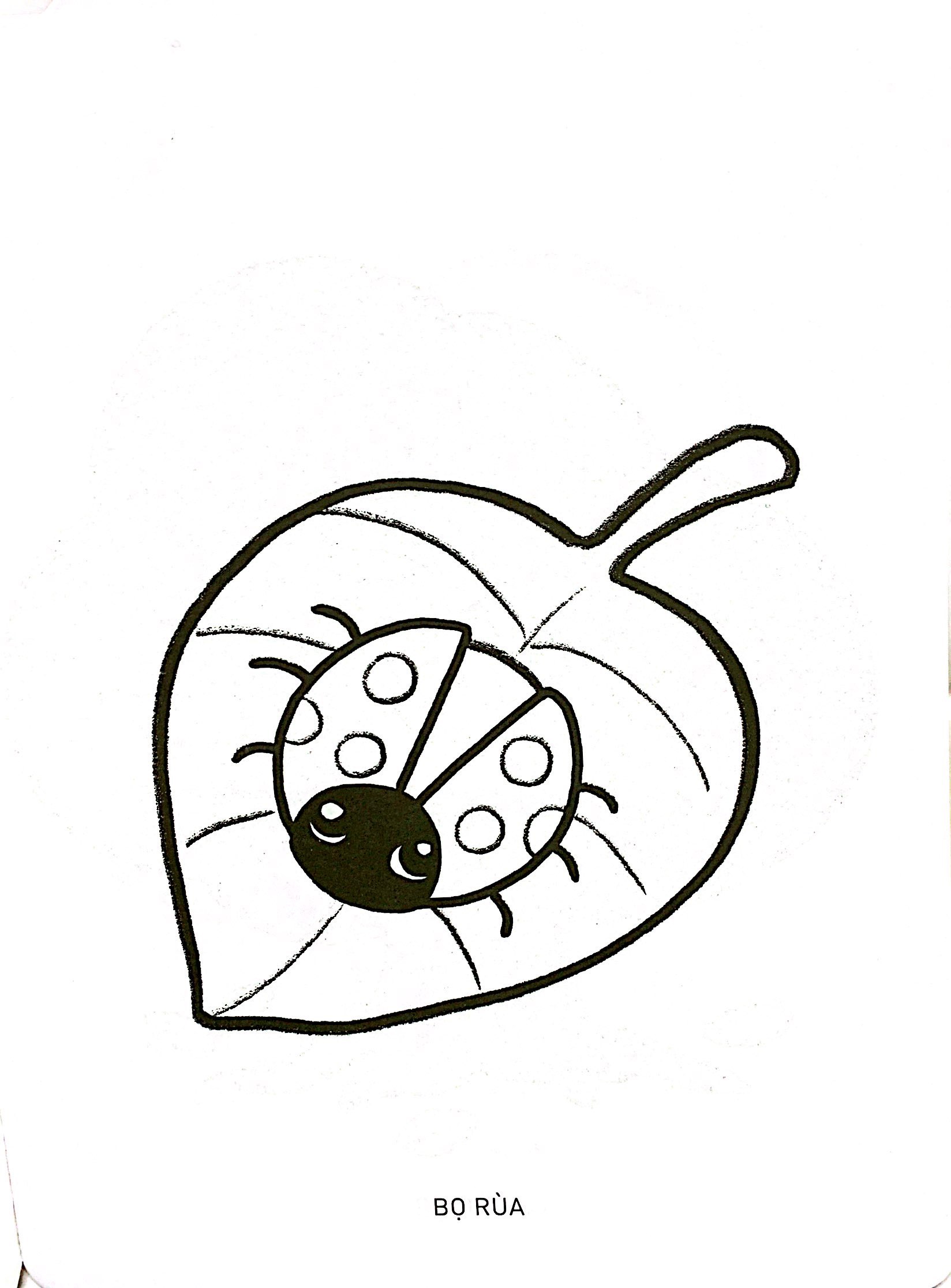 bộ tô màu phát triển não bộ cho bé 1-5 tuổi - tập 9