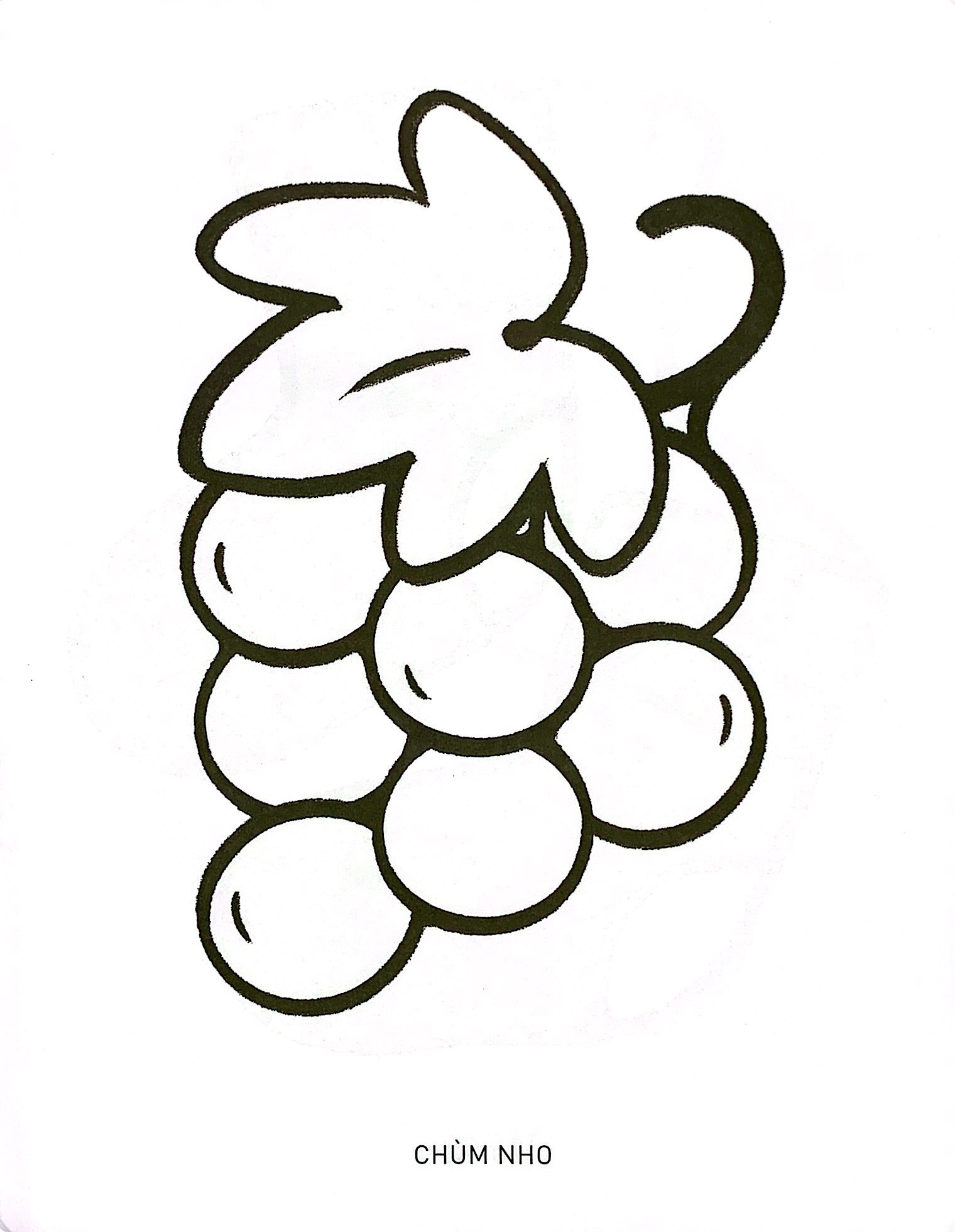 bộ tô màu phát triển trí não bộ cho bé 1-3 tuổi - tập 2