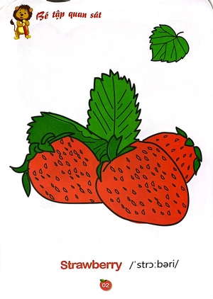 bộ tô màu rau - củ - quả song ngữ anh - việt - tập 2
