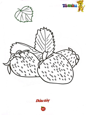 bộ tô màu rau - củ - quả song ngữ anh - việt - tập 2