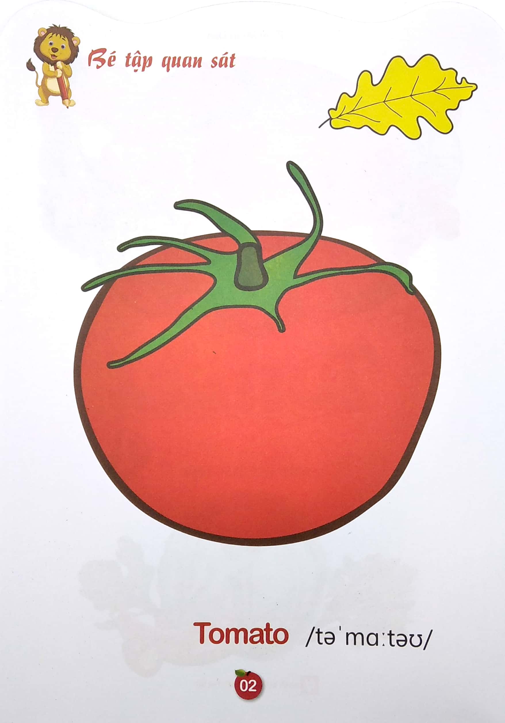 bộ tô màu rau-củ- quả- song ngữ anh-việt - tập 2 (tái bản 2023)