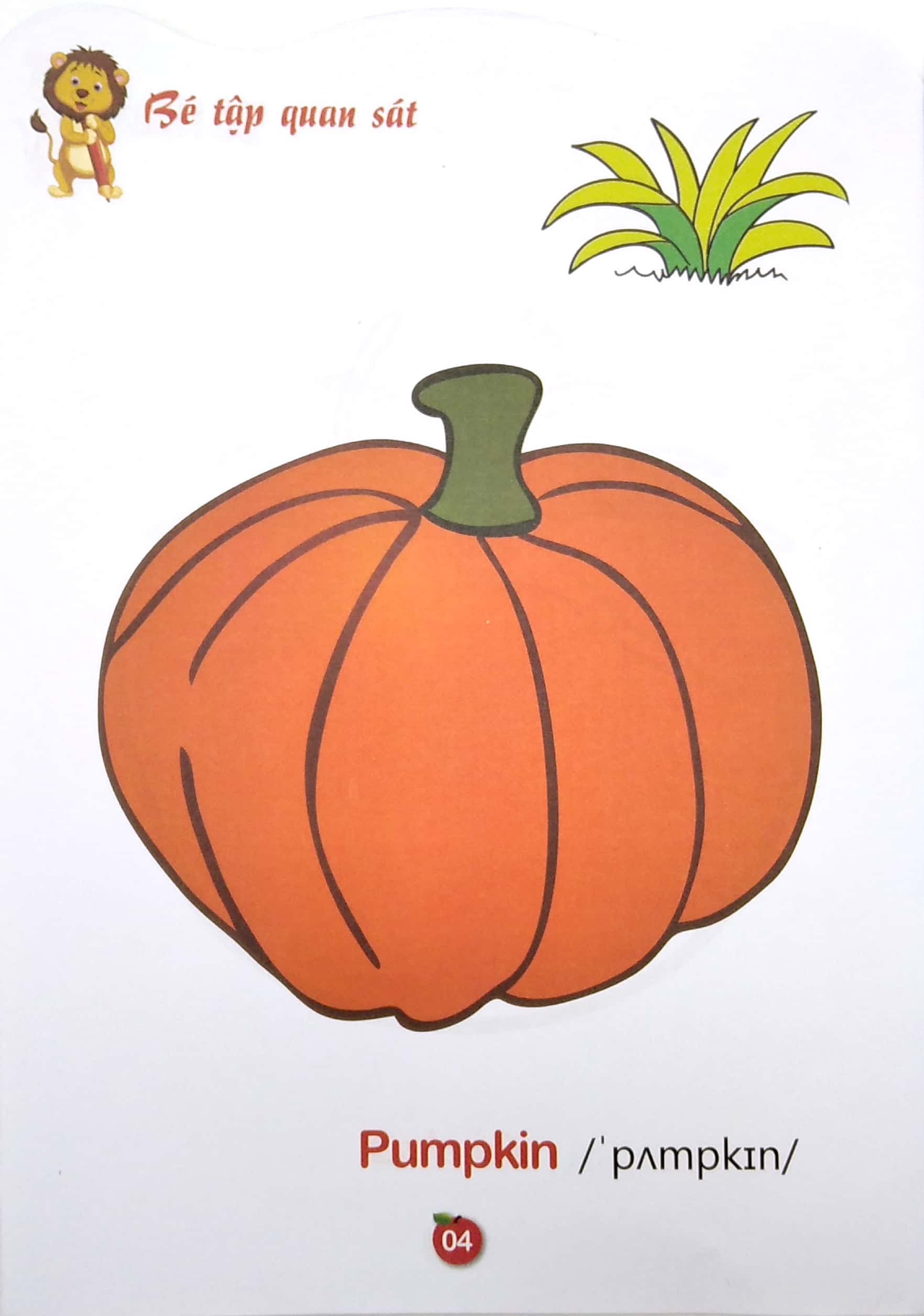 bộ tô màu rau-củ- quả- song ngữ anh-việt - tập 2 (tái bản 2023)