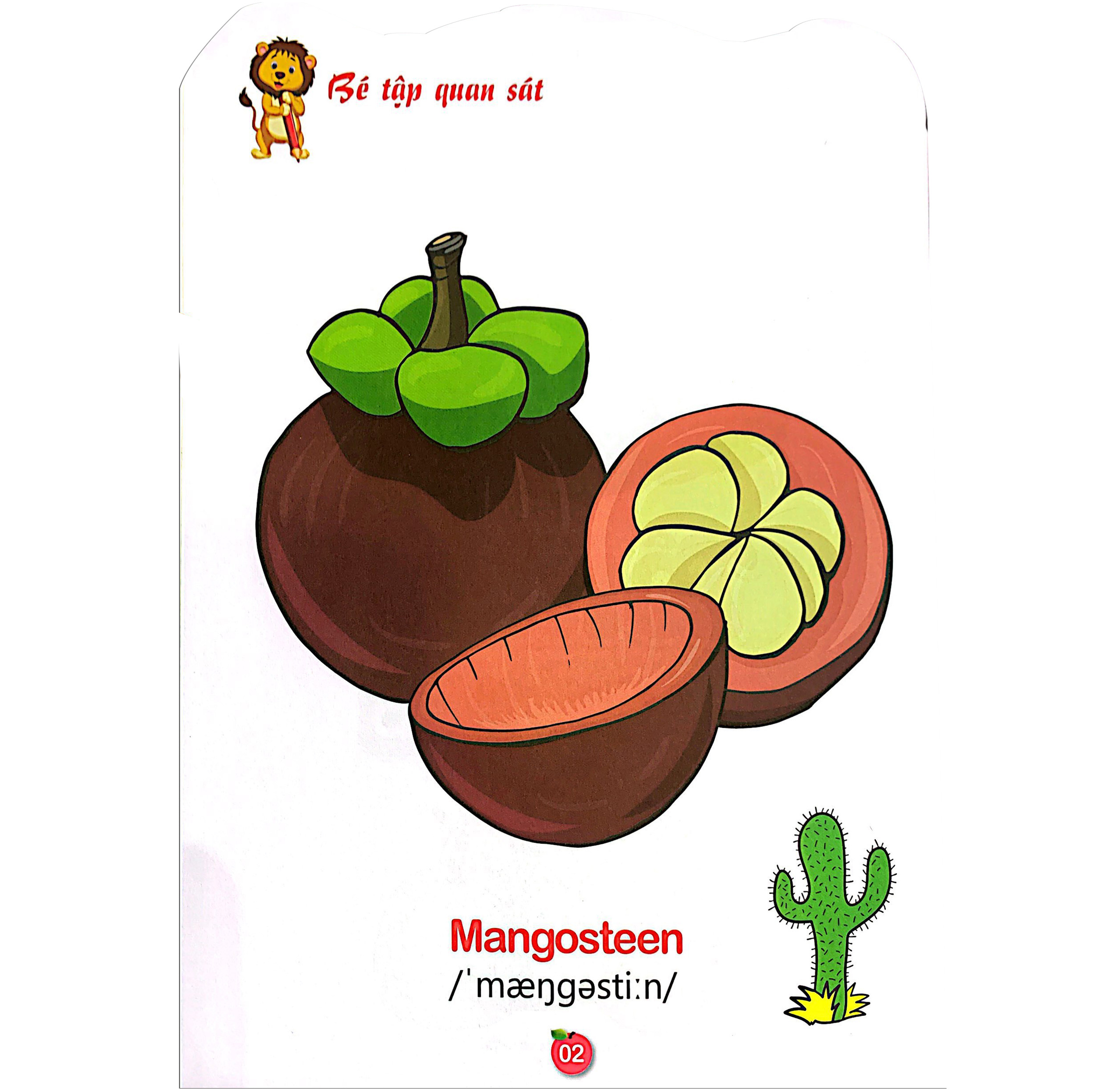 bộ tô màu rau - củ - quả - tập 5 (song ngữ anh - việt)