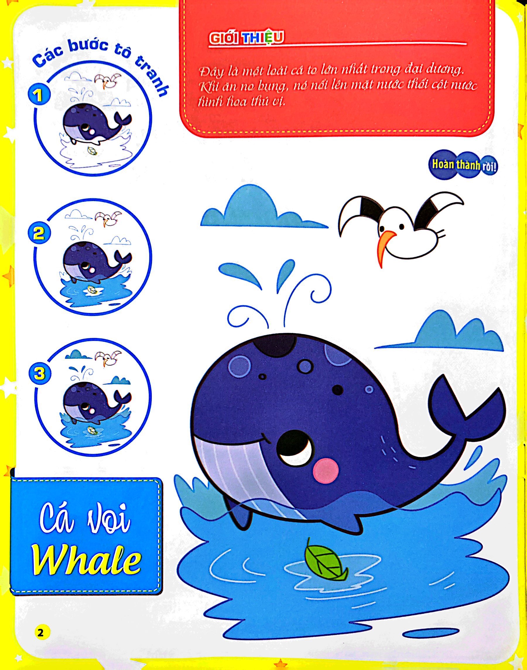 bộ tô màu theo từng bước - sinh vật biển, động vật trên cạn, khủng long 2