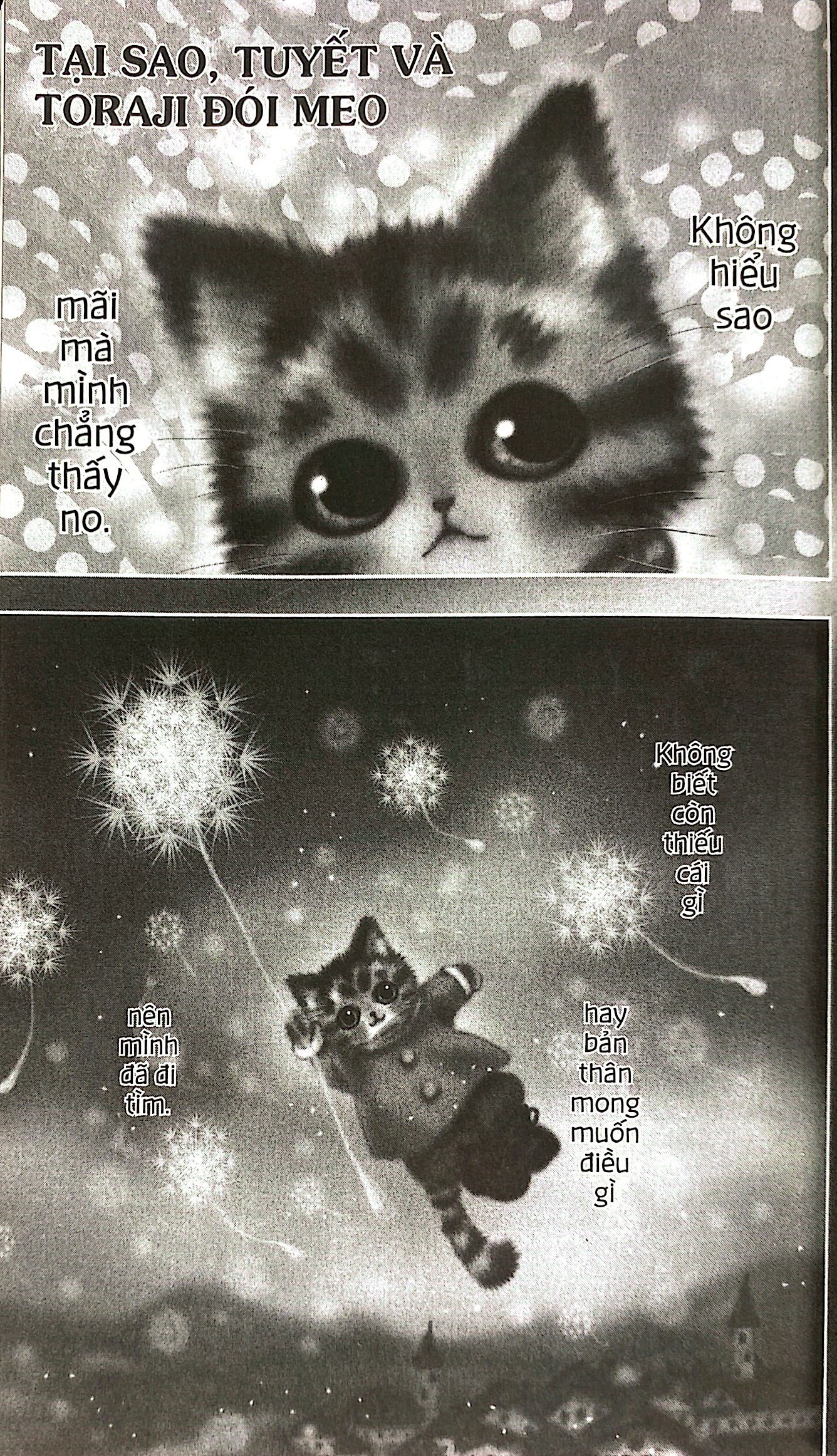 bộ toraji phiêu lưu kí - tập 12