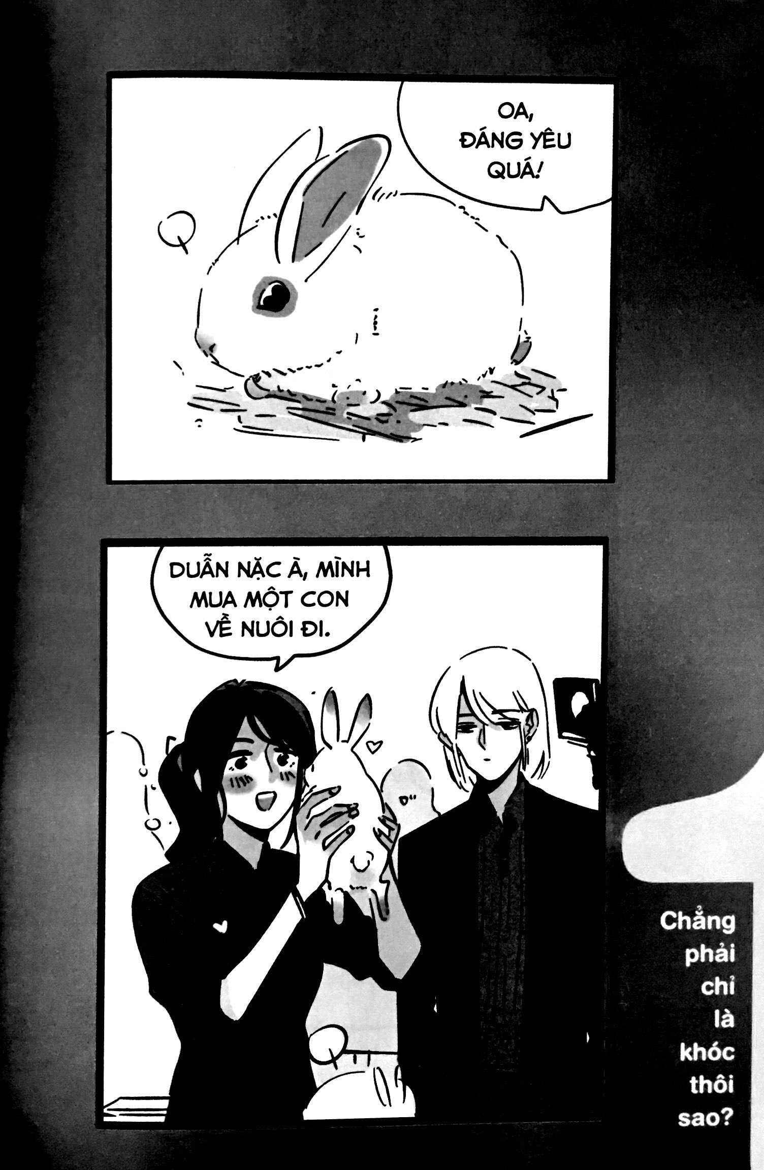 bộ trang nhất toàn là hắn - tập 4 (bản thường)