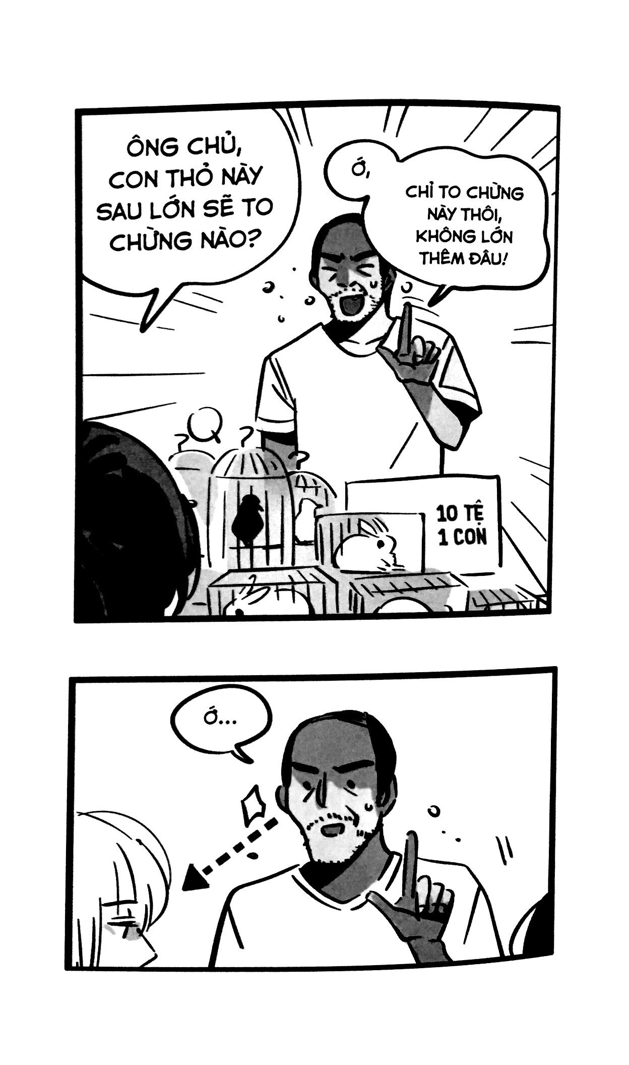 bộ trang nhất toàn là hắn - tập 4 (bản thường)