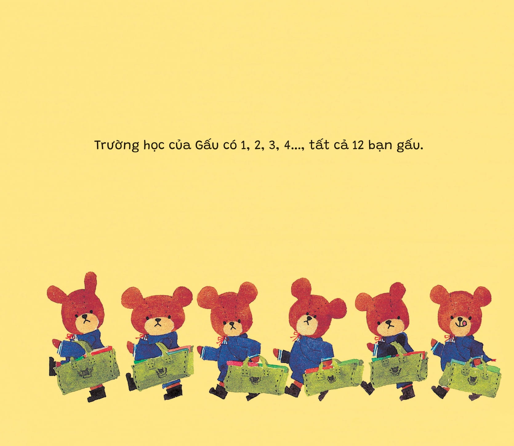 bộ trường học của gấu