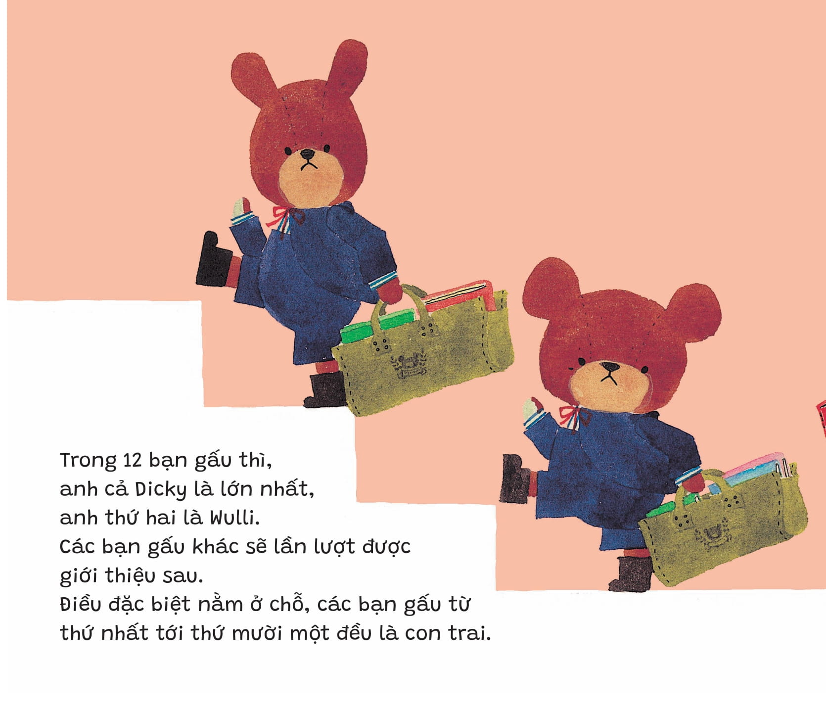 bộ trường học của gấu