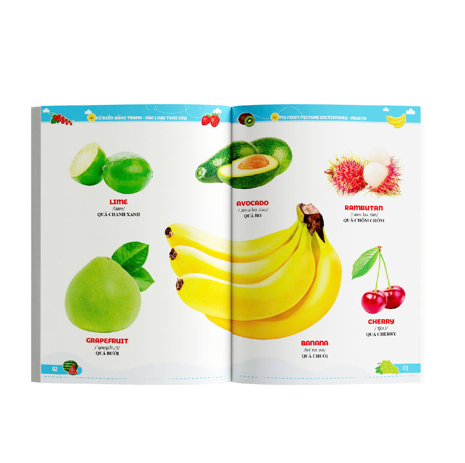 Bộ Từ Điển Bằng Tranh - Các Loại Trái Cây - Ảnh 6